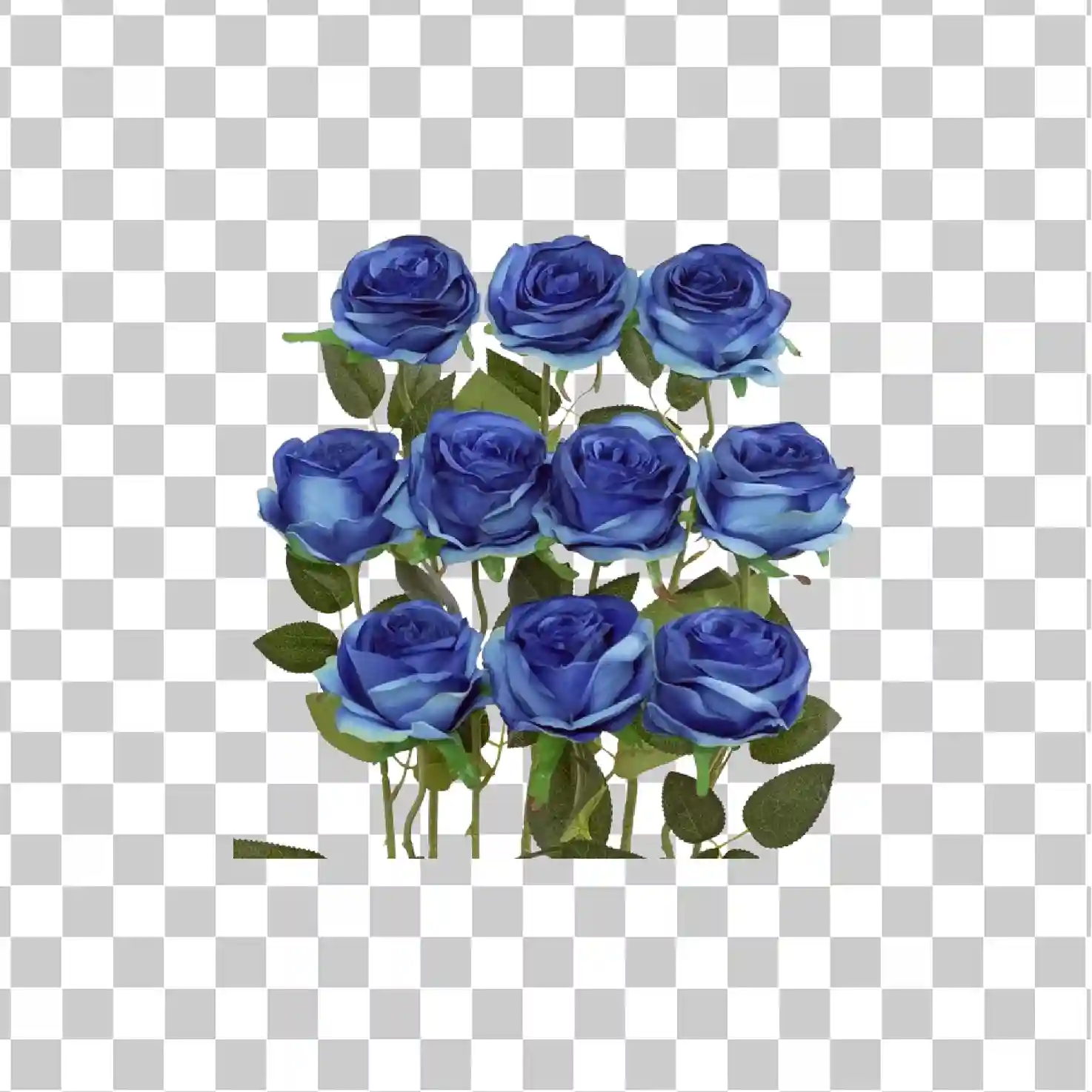 Kwiaty, Niebieskie róże, Blue Rose, Róże, Rose, kwiaty png, 