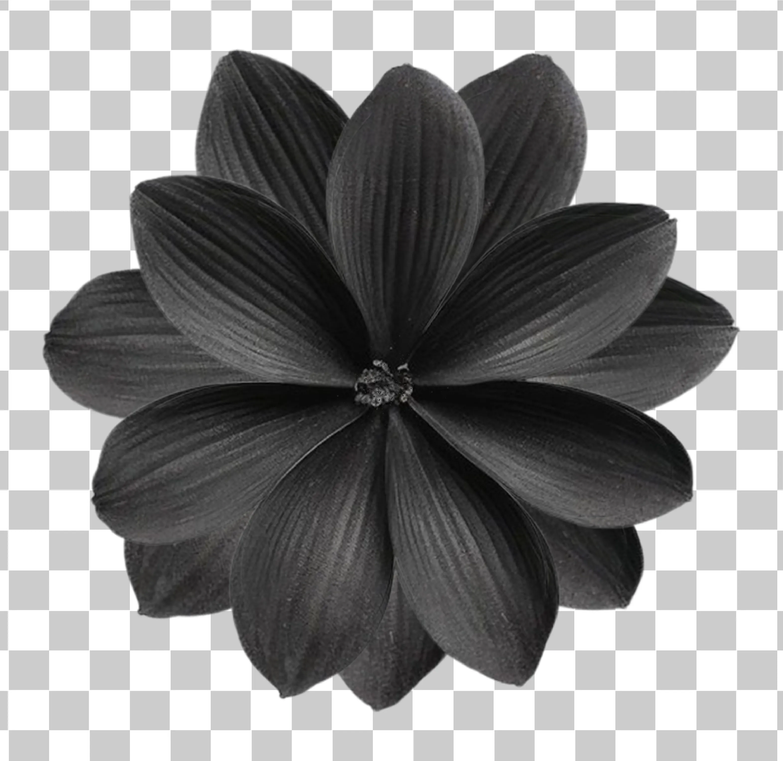 Black Dahlia Flower, Black Flower & Rose, Æstetisk blomst tatoveringsdesign PNG, 