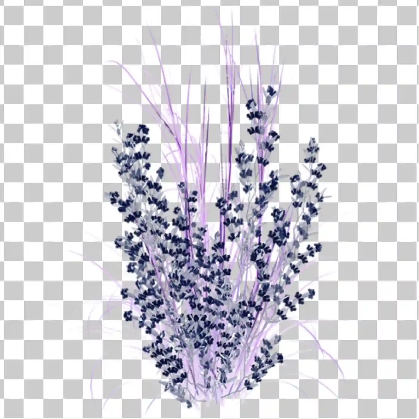 Kwiat lawendy, Purple, Lawendowe kwiaty, fioletowe kwiaty, kwiat png, 